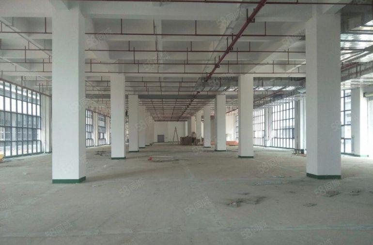 茶山镇带天然气蒸汽管道厂房招租，二次消防，两部3吨电梯！