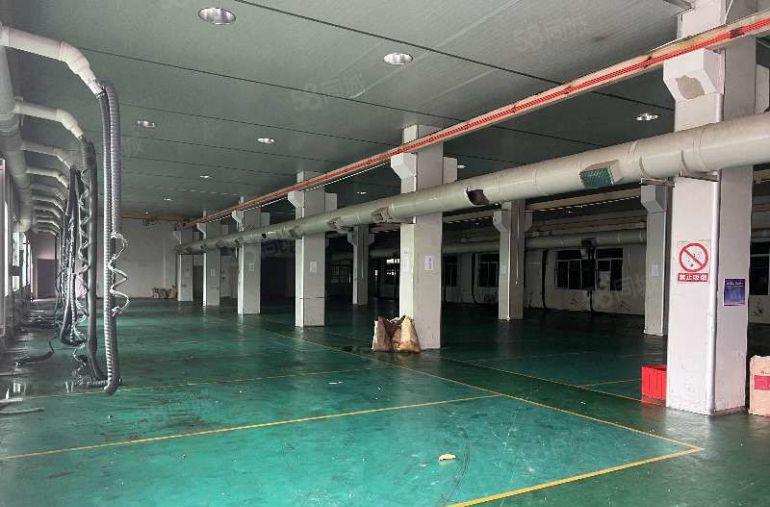 石排靠近企石东部快速原房东红本双证标准三层厂房直租现成航车