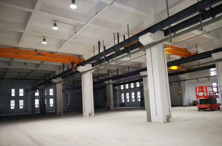 石排全新公寓出租，石排全新标准厂房出租