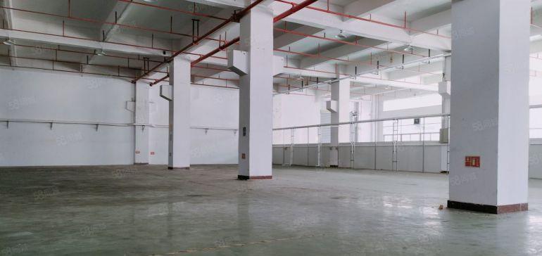 石排镇东部快速旁独院一楼1350平方高度7米带牛角位厂房出租