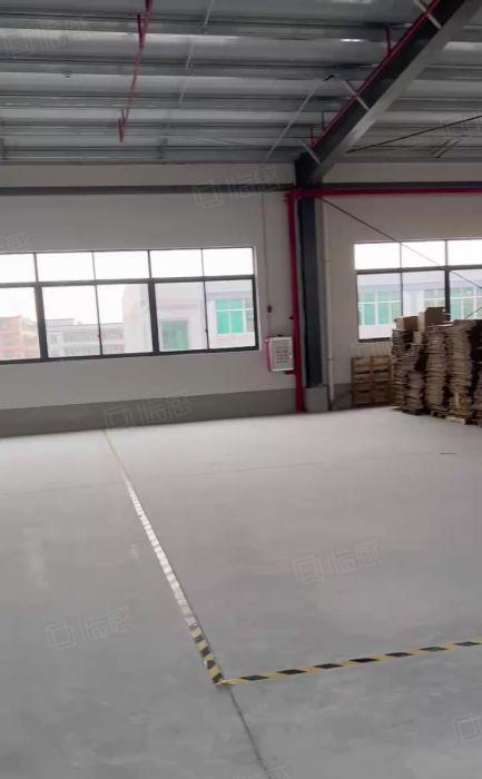 石排镇钢构厂房出租 价格便宜 庙边王工业大道原房东 可谈价