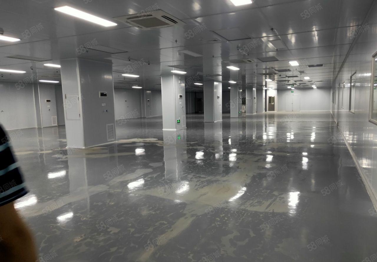 全新无层车间，无需转让费