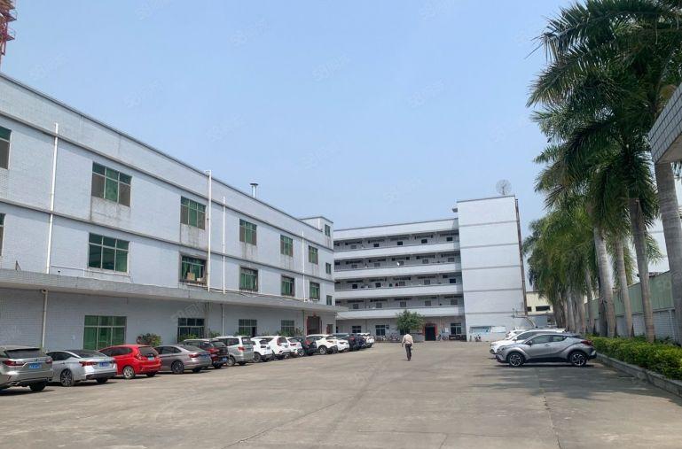 石排新出原房东独院5000平方精装修红本厂房出租可分租