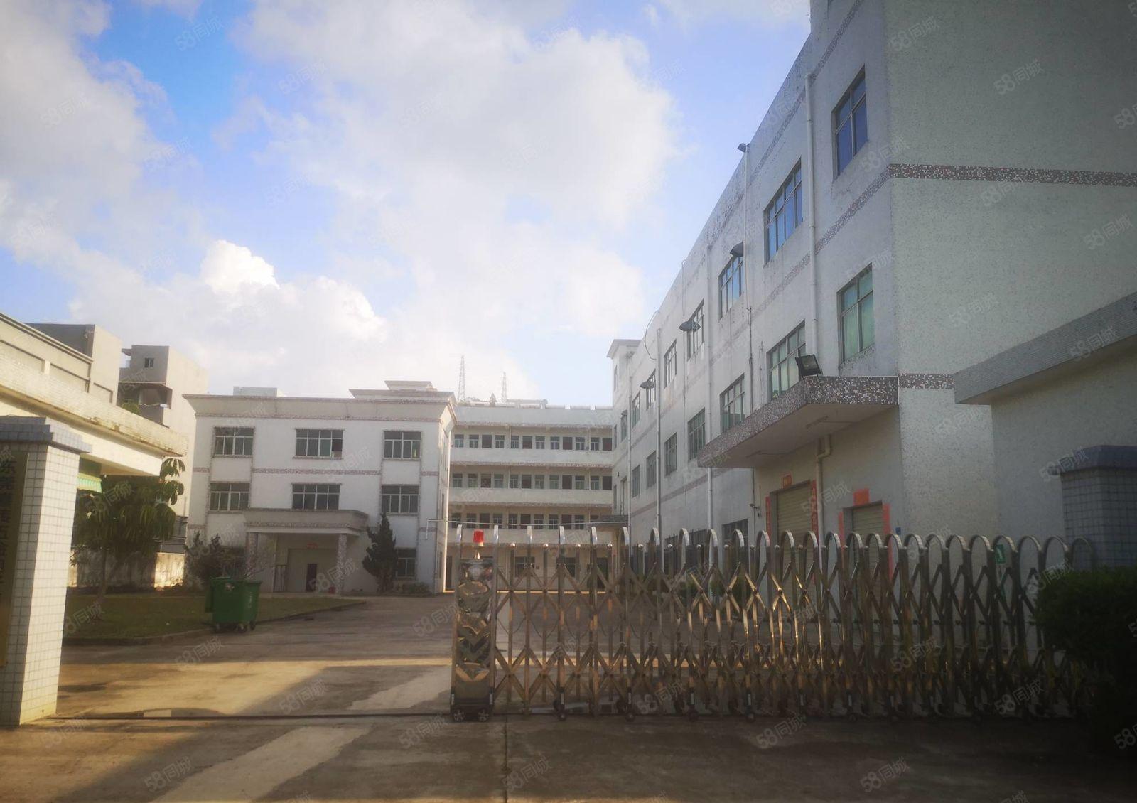 石排镇下沙村新出原房东6000平独院出租 带装修可办环评可分