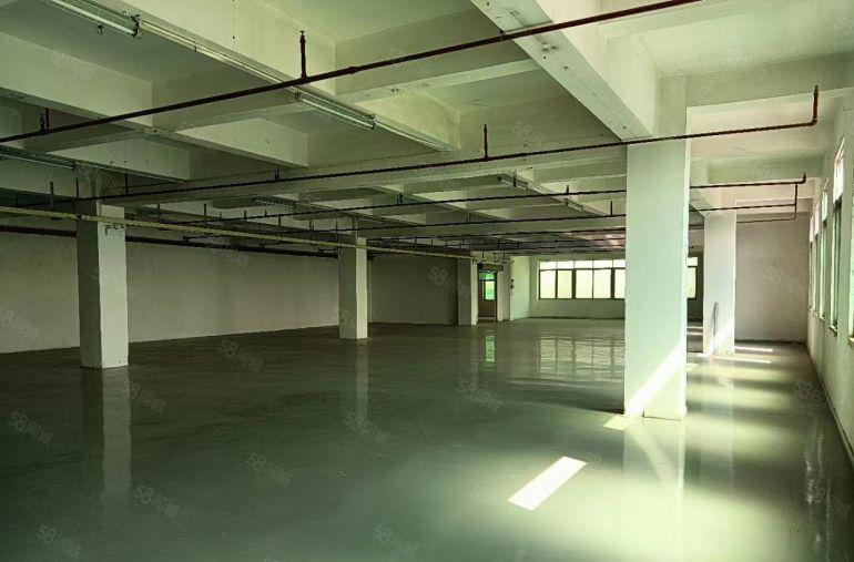 东莞石排低价厂房出租无尘车间现成办公室装修水电齐全