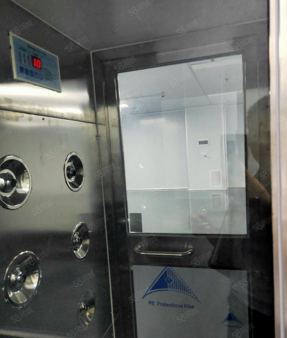 全新无层车间，无需转让费