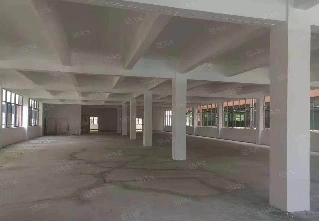 石排镇高速路口新出独院三层厂房3500平 带精装修