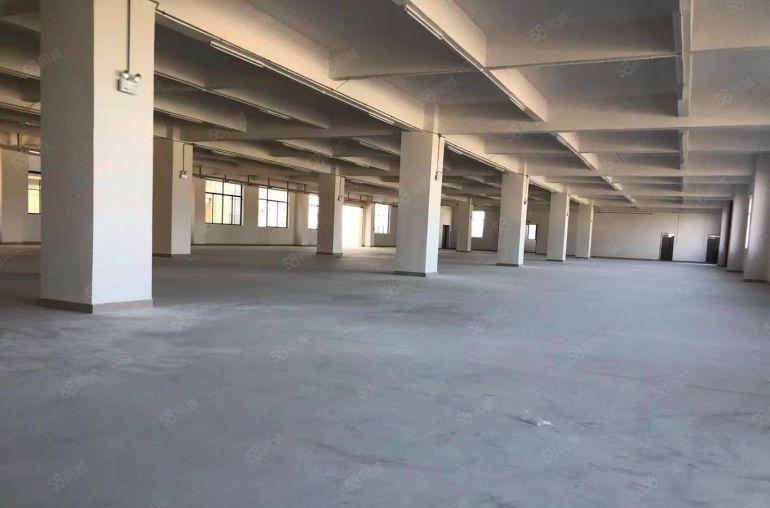 石排镇原房东的标准楼上厂房，现成水电办公室，进出货方便有货梯