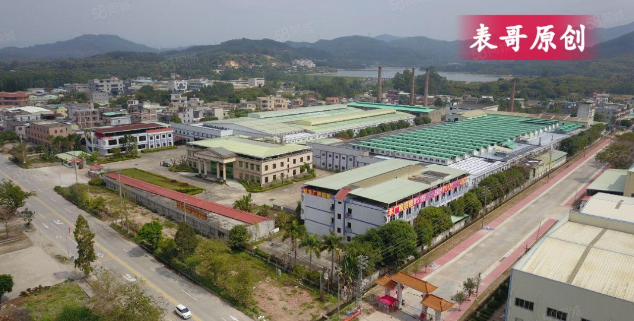 原房东单一层钢结构独门独院厂房出租