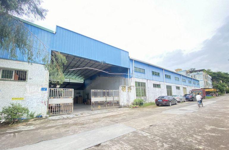 原房东独院厂房招租石排镇单一层厂房高度8米工业园区周边无居民