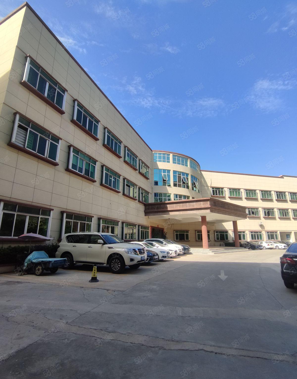 实图石排利丰旁智汇城一楼厂房850平出租 现成水电装修可分租