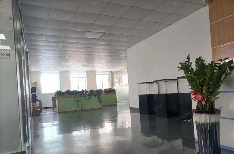 石排新出350平方厂房，现成装修，水电齐全