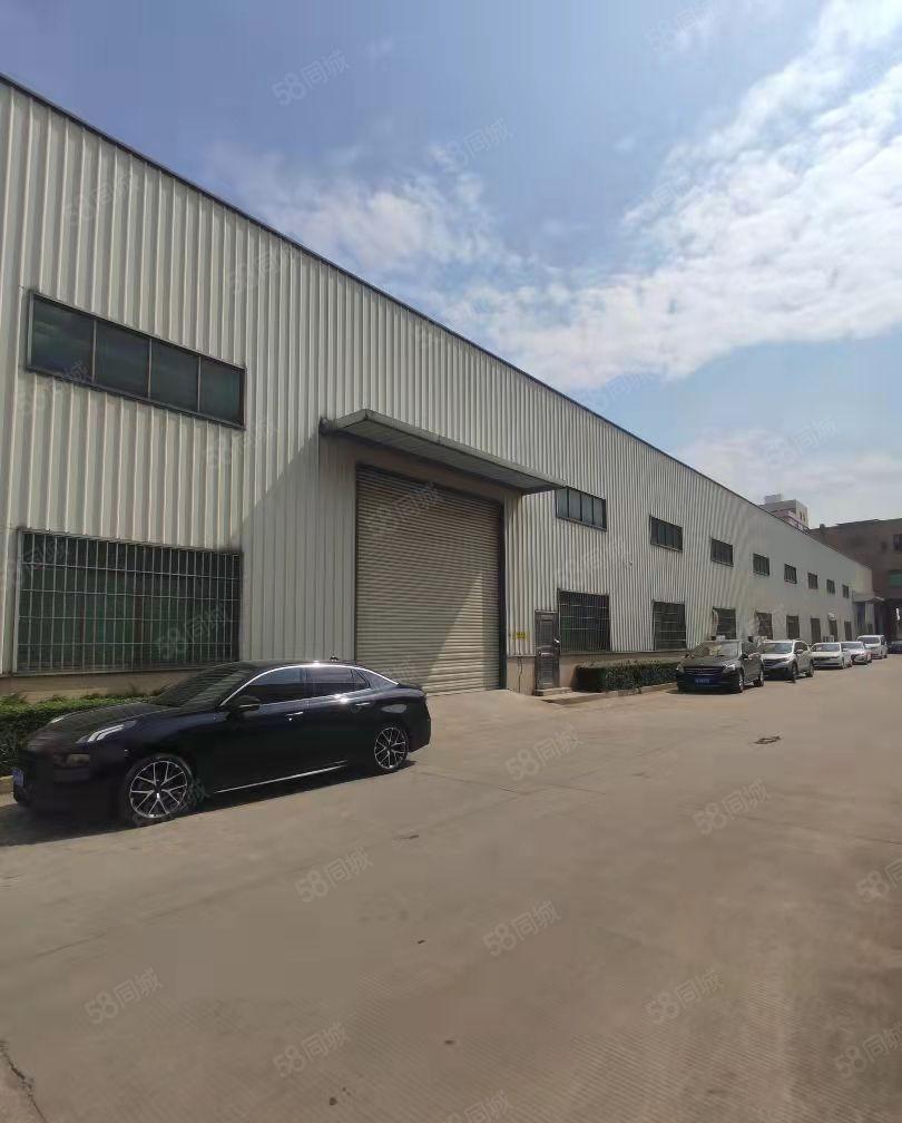 石排镇新出单一层钢结构厂房滴水11米，大小好分租