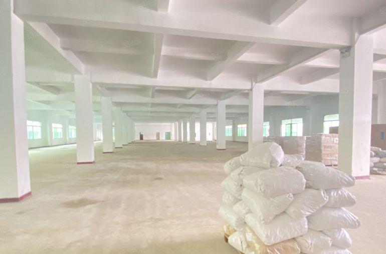 石排 原房东标准一楼2200 低价10元急租 园区空地超大