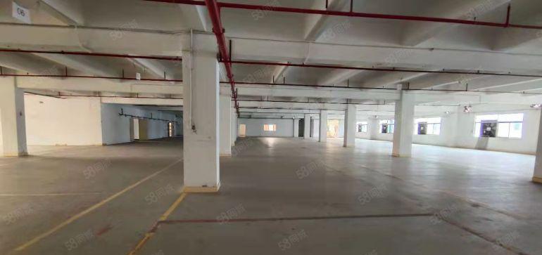 石排原房东一楼和楼上，低价厂房仓库出租100平10元起