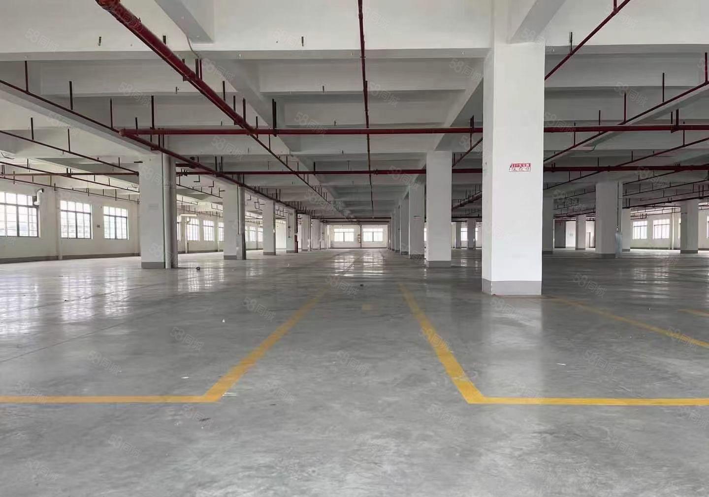 石排镇新空出独门独院厂房32000平米