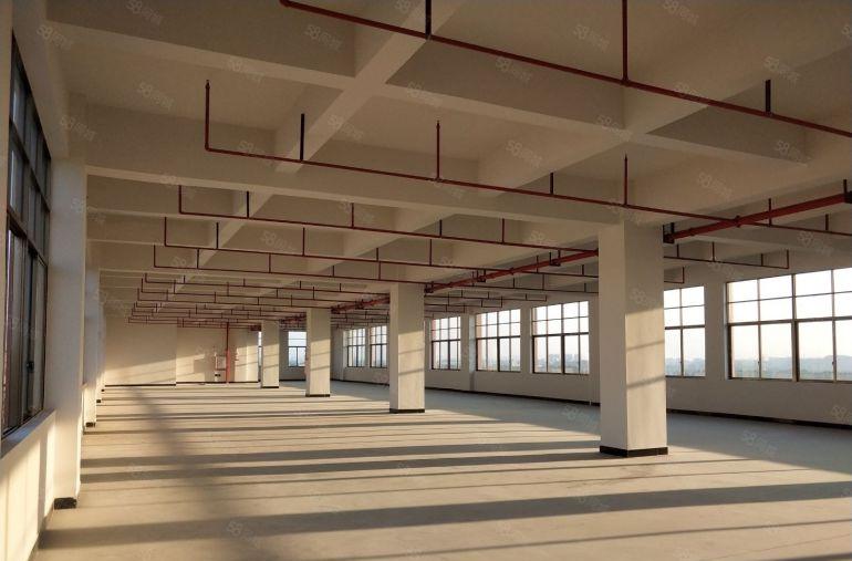 石排镇 产业园原房东独院 厂房出租 15元优惠划算 专精