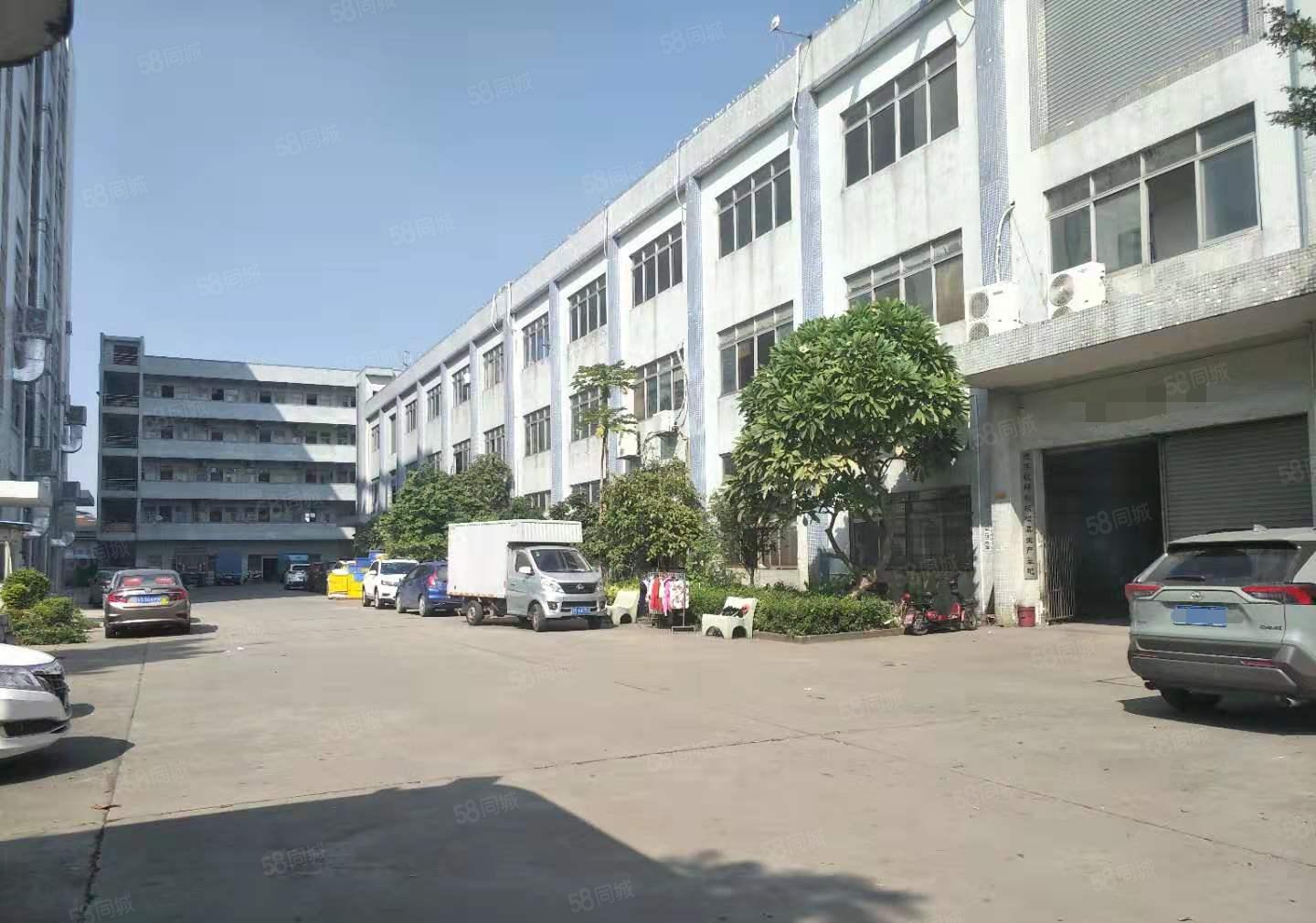 石排新出标准厂房4楼1650方出租，位置佳，形象好