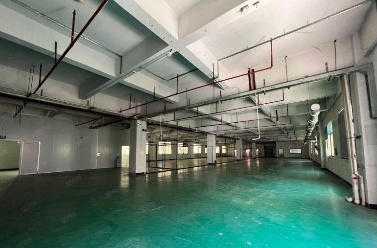 石排镇庙边王独院厂房出租一层现成精装修注塑车间