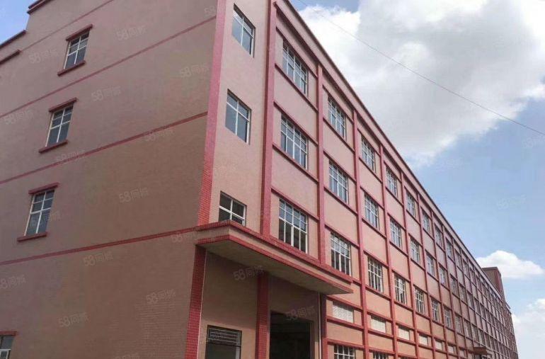 石排镇 产业园原房东独院 厂房出租 15元优惠划算 专精