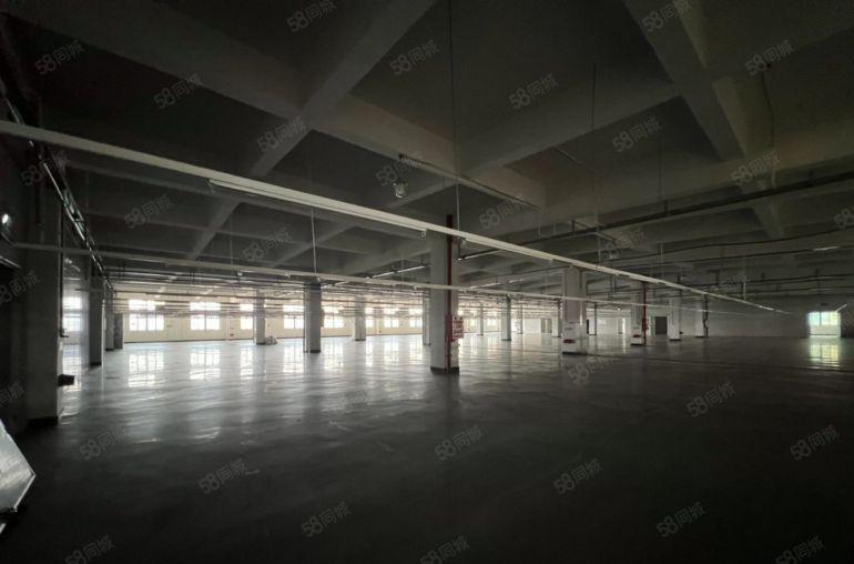 石排镇田寮工业区原房东厂房分租3000平米，现成水电线路装修