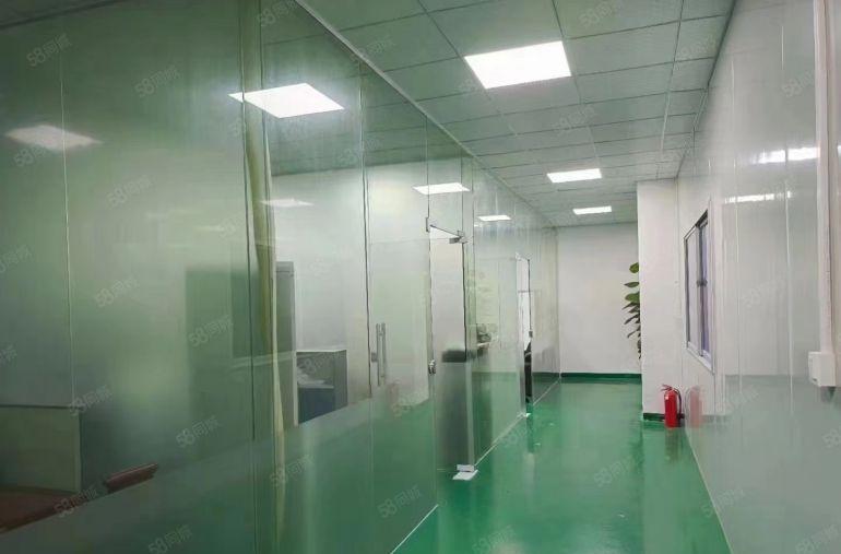 东莞市石排镇下沙村原房东标准独门独院厂房出租。