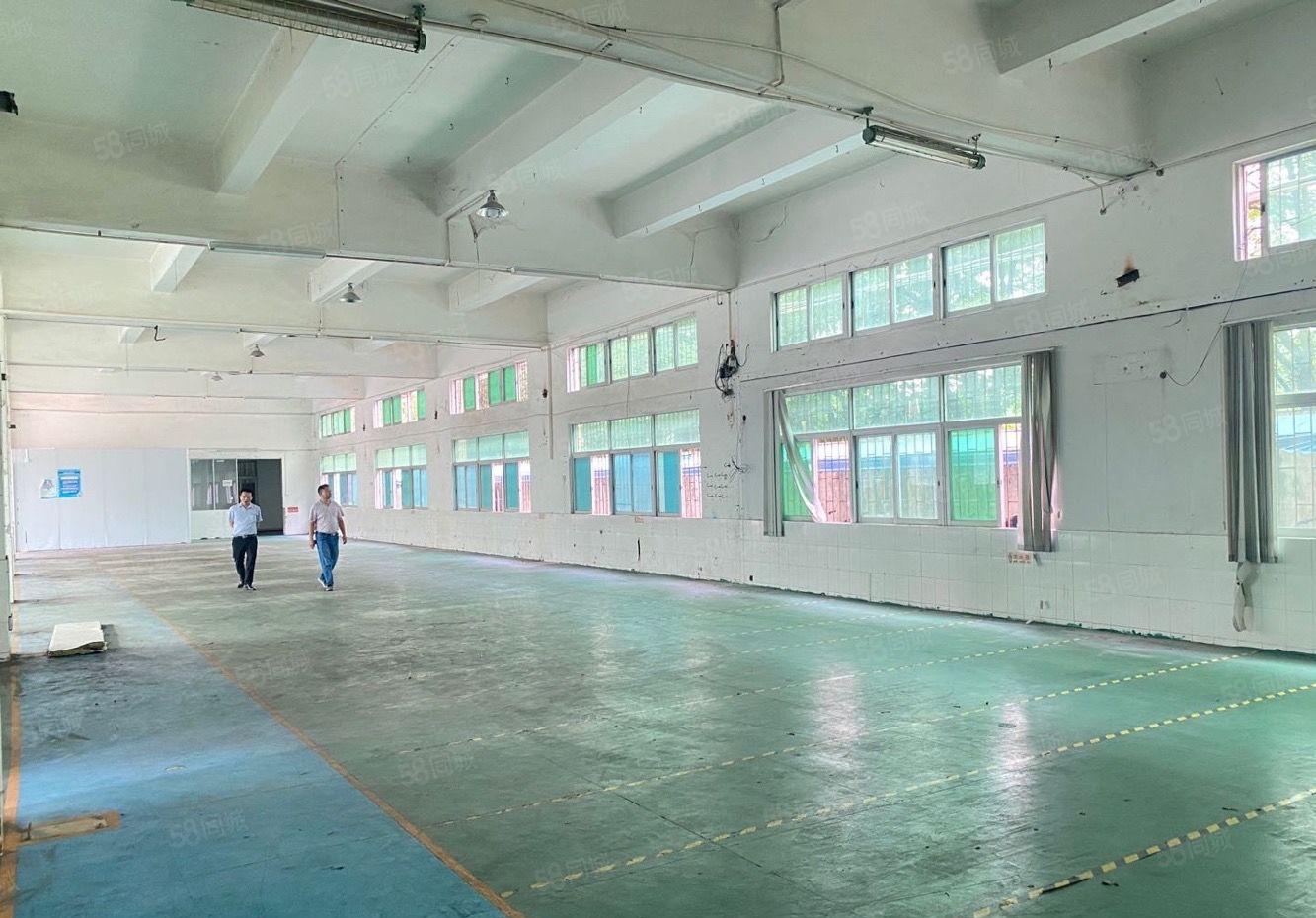 石排新出漂亮标准厂房出租带地坪漆可分租空地大。适合小加工电子