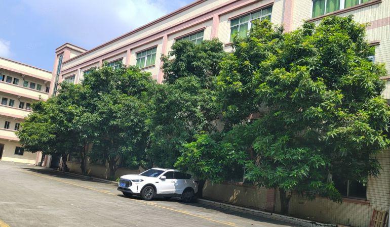 原房东一楼1500平方院子空地超大