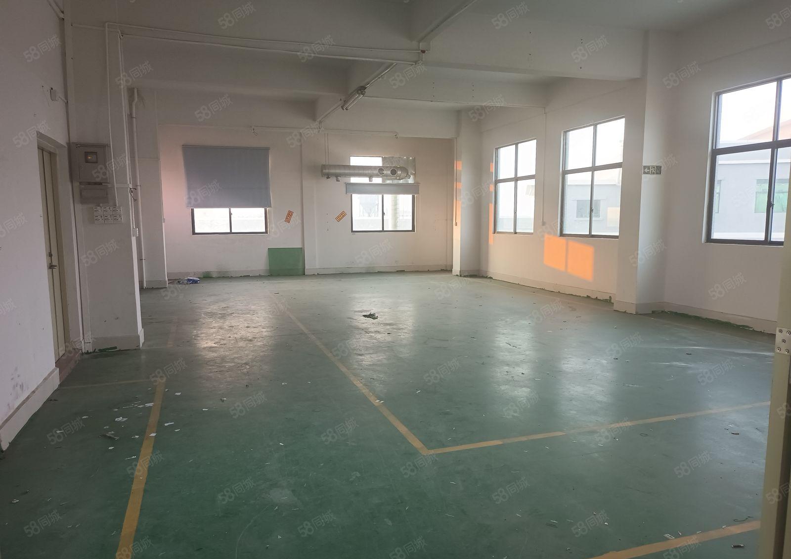 石排镇新出原房东标准厂房楼上1200平方有现成办公室低价出租