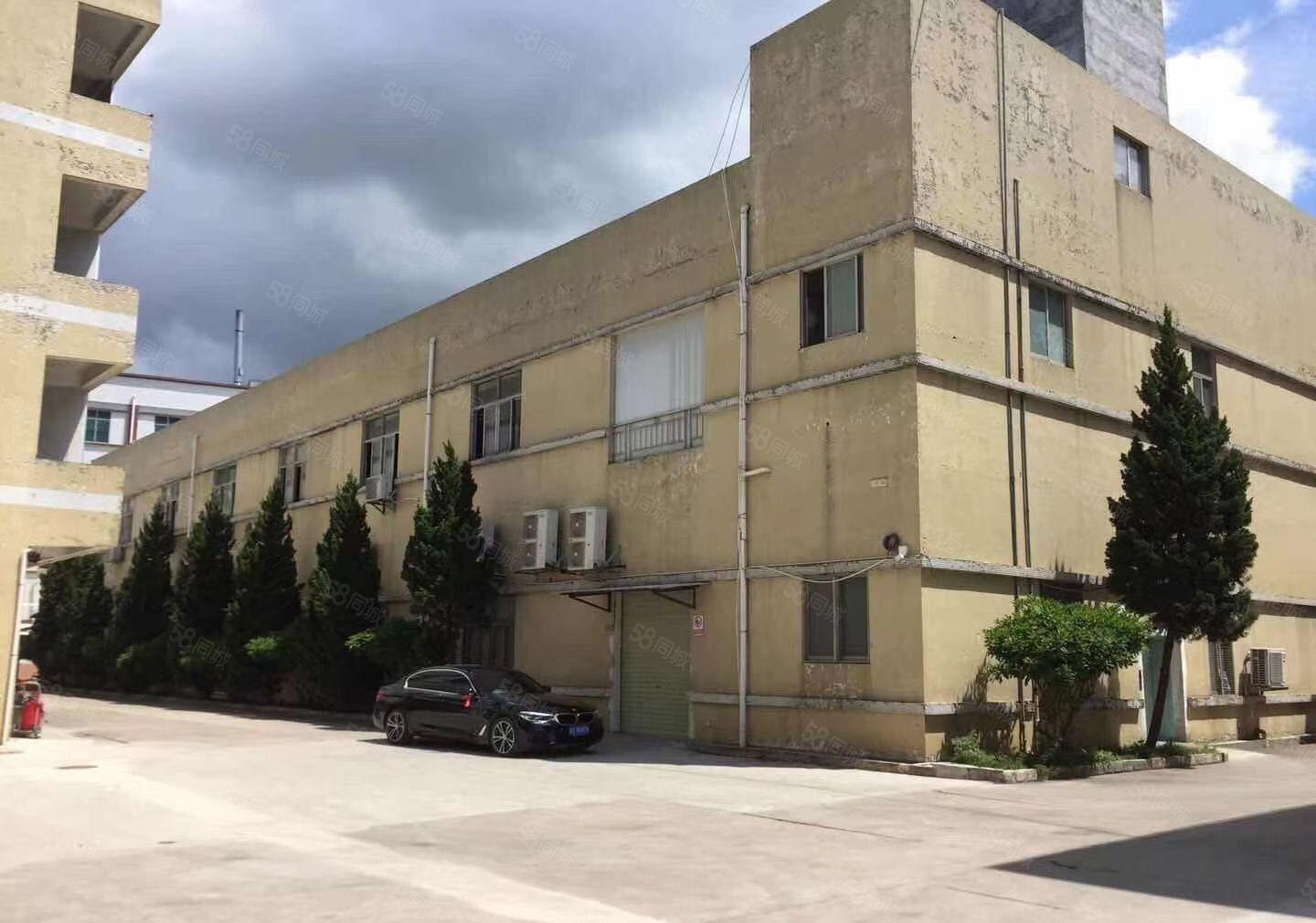 石排原房东独栋12楼2360平方出租，整租17可整层分租。