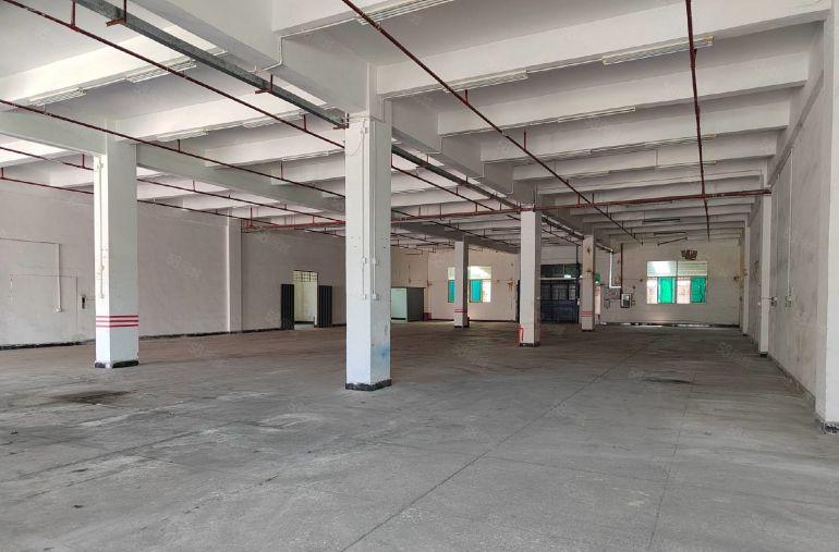 石排镇下下沙村原房东一二楼4000平厂房出租 带现成豪华装修