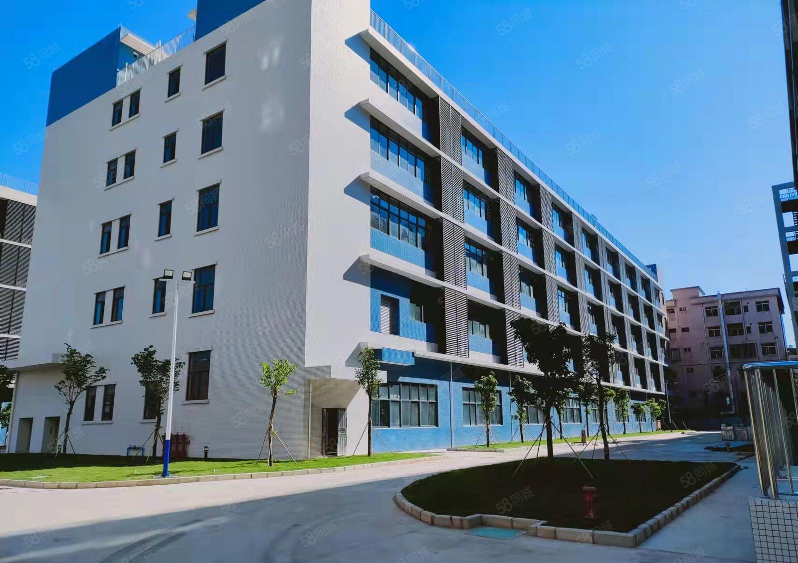 石排镇工业园区新出1000平方楼上厂房 精装修 可分租