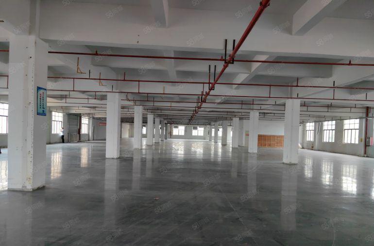 石排镇向西工业区分租四楼标准厂房出租带地坪漆装修靠近高速