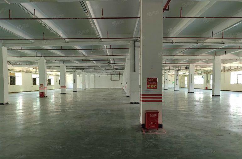 石排镇下下沙村原房东一二楼4000平厂房出租 带现成豪华装修