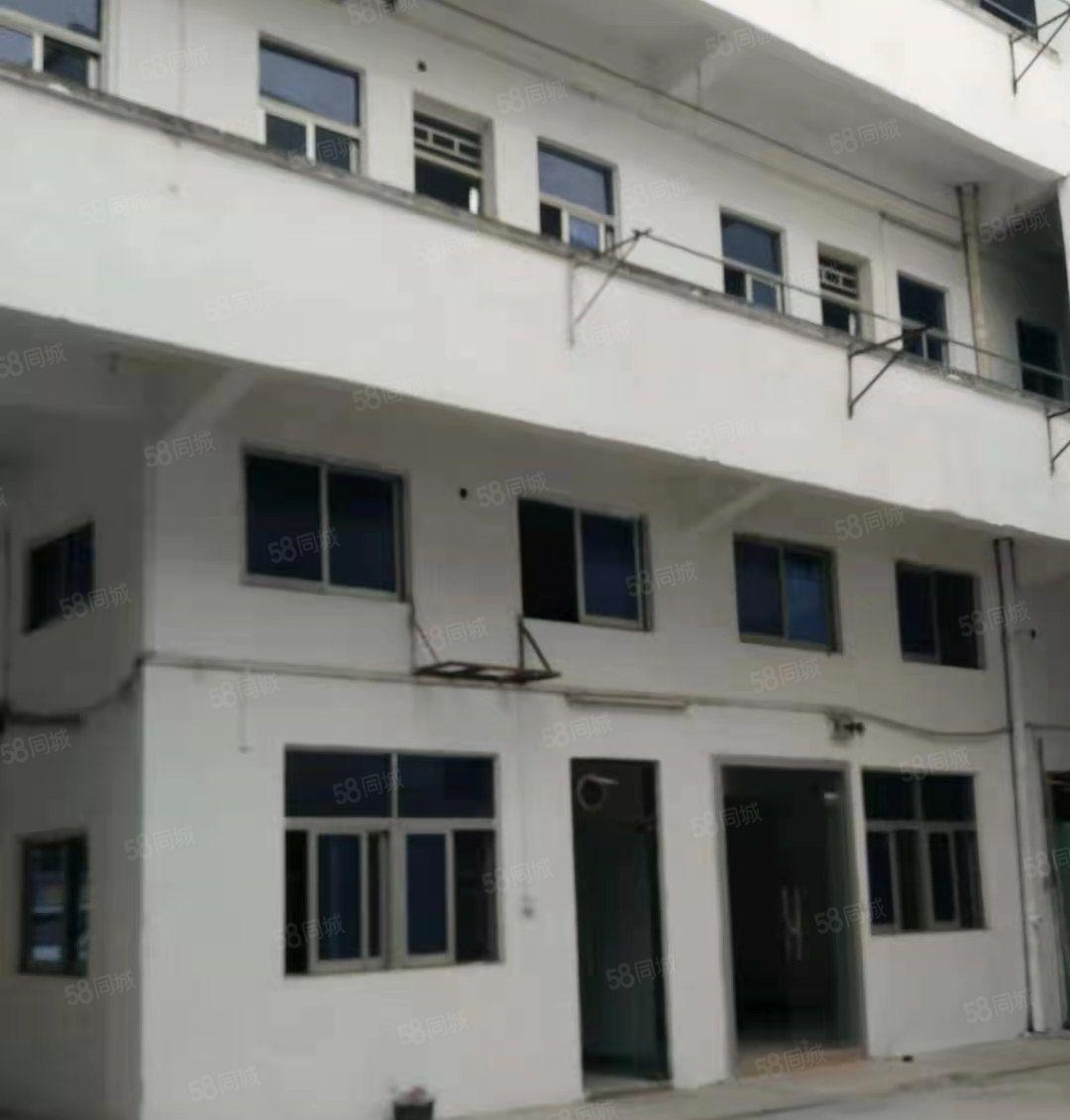 原房东，石排标准厂房出租1500方，现成办公室，位置佳！