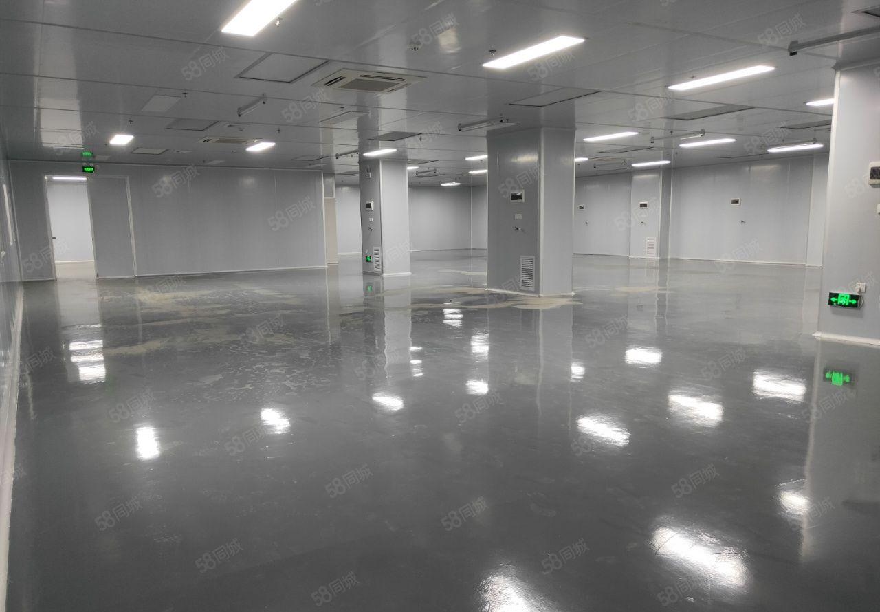 全新无层车间，无需转让费