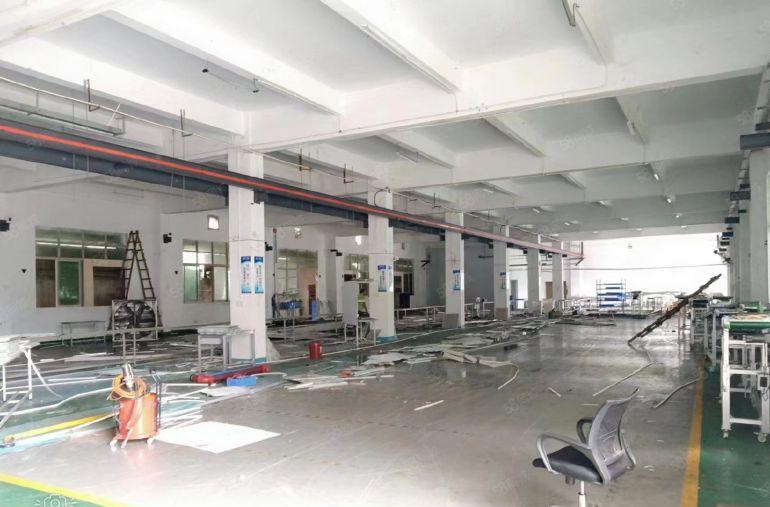 原房东一楼1500平方院子空地超大