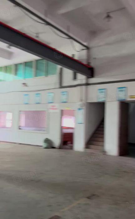 石排镇原房东水泥到顶层高6米单一层带四部行车厂房出租