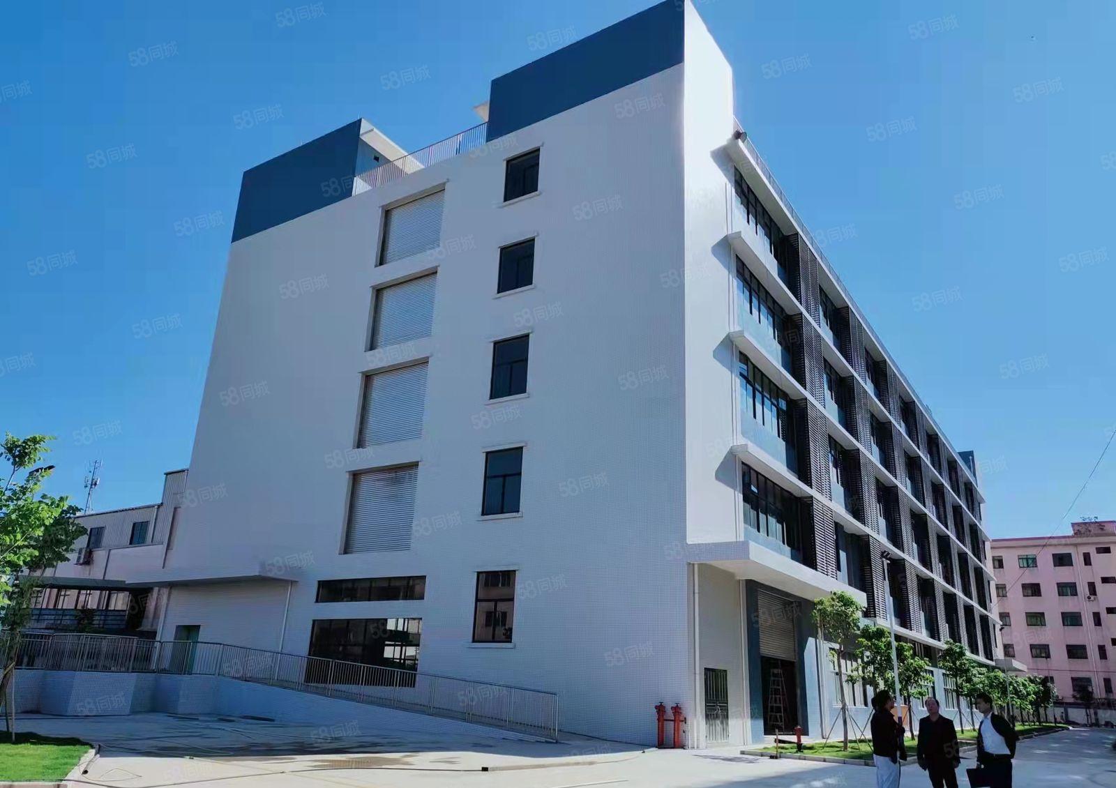 石排镇工业园区新出1000平方楼上厂房 精装修 可分租