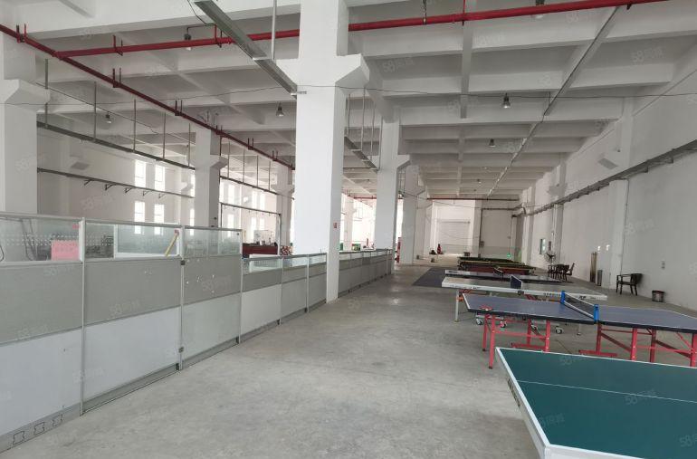 石排首层8米高，一手房东全新标准厂房，21000平方可分租
