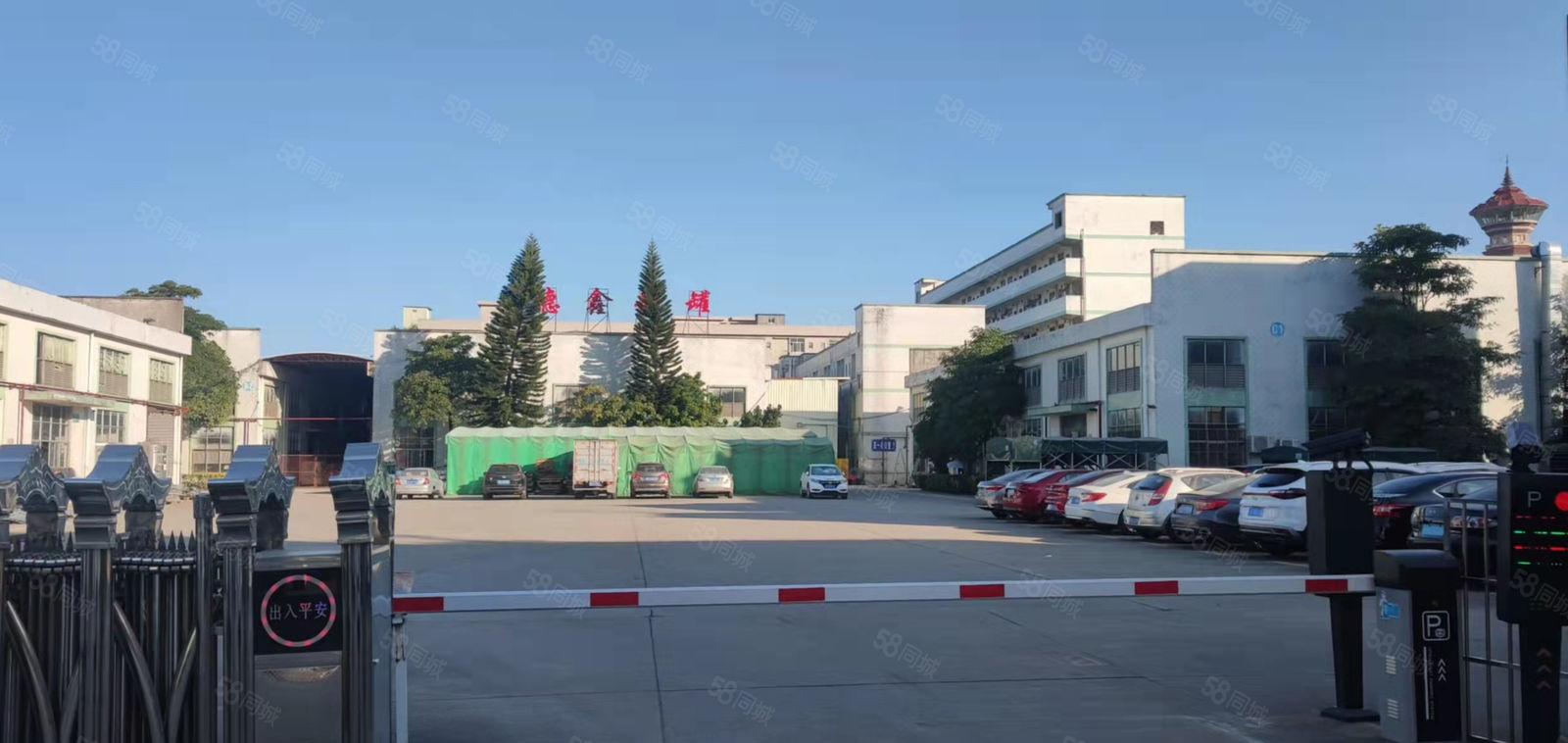 原房东独院钢构总面积3800平方厂房面积2800平方