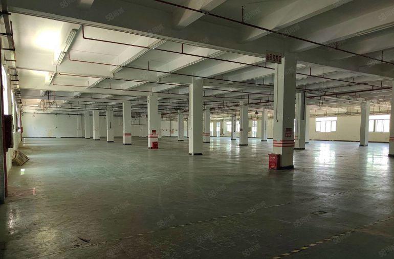 石排镇下下沙村原房东一二楼4000平厂房出租 带现成豪华装修