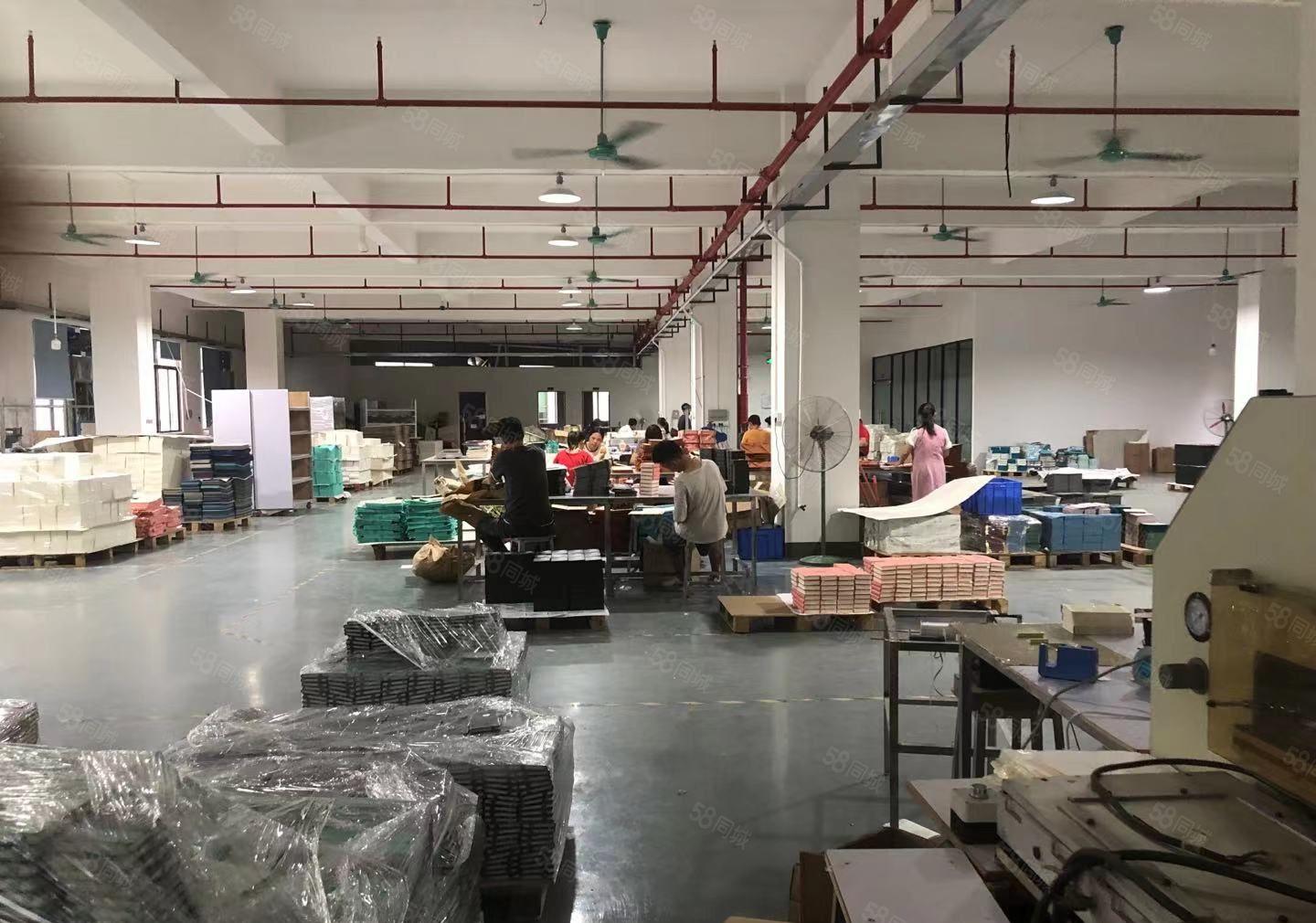 石排镇工业园区新出1000平方楼上厂房 精装修 可分租