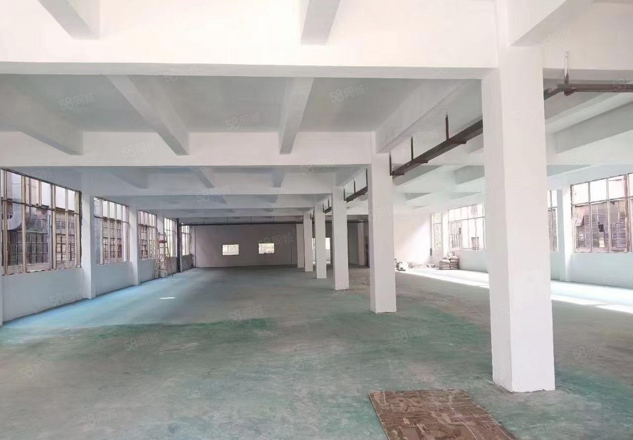 石排镇高速路口新出独院三层厂房3500平 带精装修