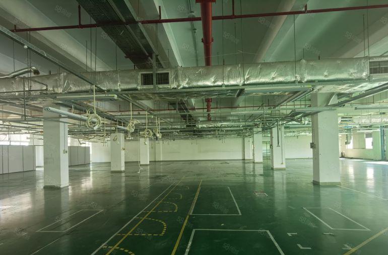 石排花园式独院14000平米  空地大  水电现成  带装修