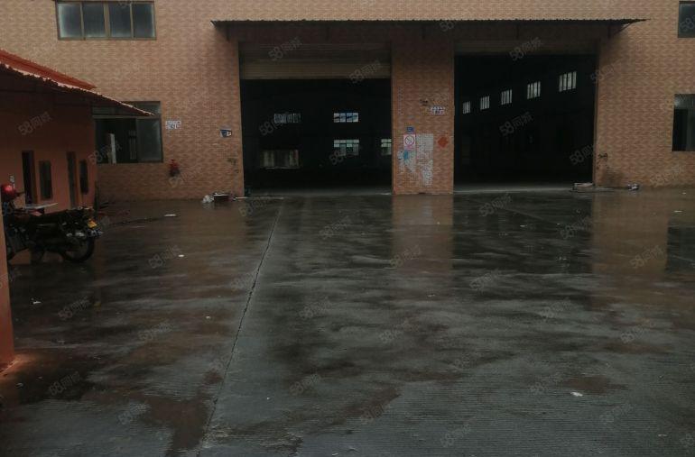 中堂独门独院（可分租）单一层3000平方招租