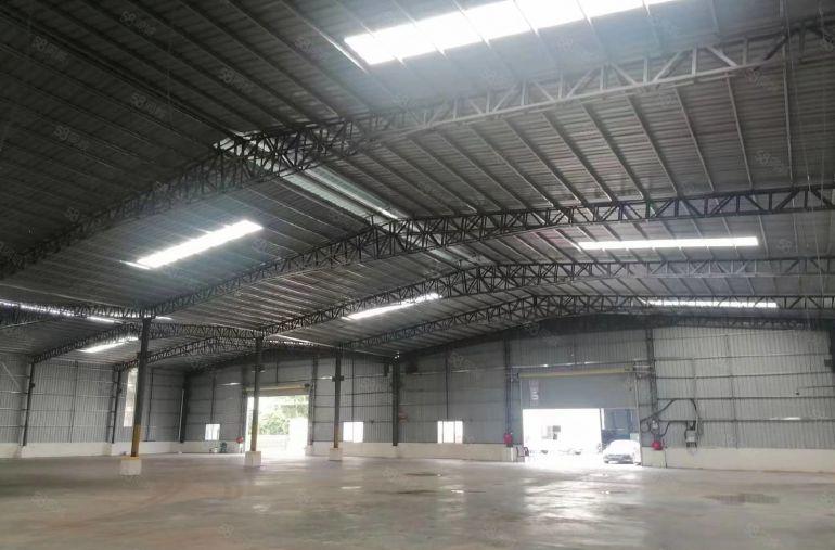 中堂独门独院单一层3000平方（可分租）低价出租