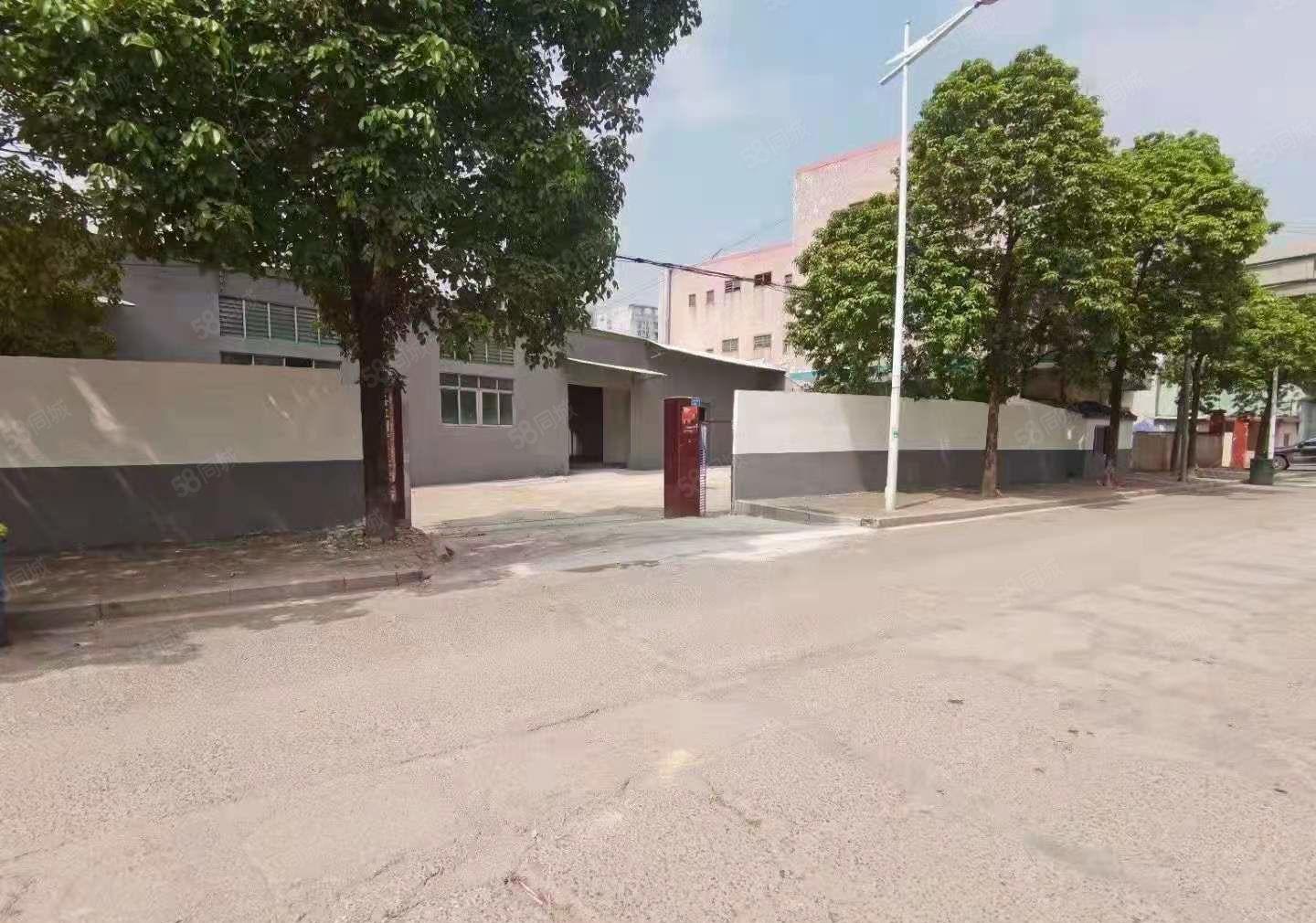 （经济厂房）中堂镇独门独院厂房500平方18元平方