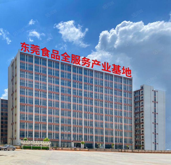 中堂 靠近广州现成食品环评园区厂房1000平起空地大配套齐全