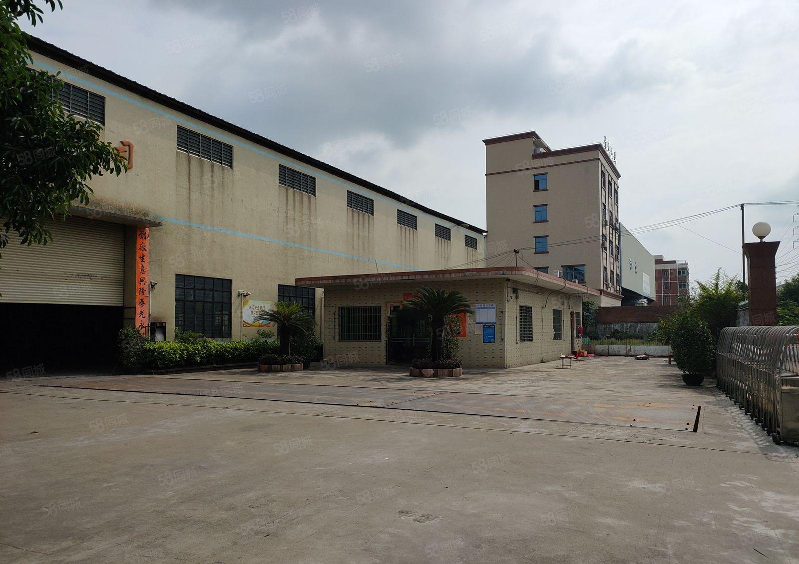 中堂镇超大变压器1000千瓦3000方厂房出租(电可按需)